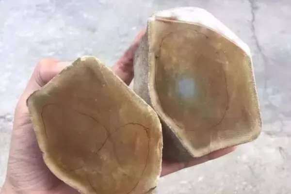 月牙缘珠宝-工厂现场解石黄翡冰种玉肉翡翠A货高冰黄翡